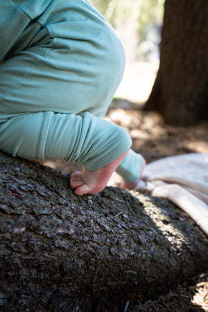 Baby's foot exposed, crawling up a tree trunk. 
